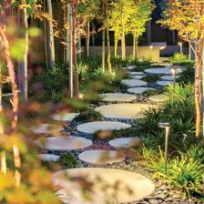 園林景觀設(shè)計的自然美!